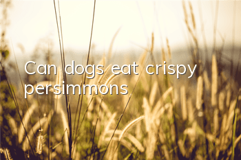 Can dogs eat crispy persimmons?