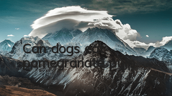 Can dogs eat pomegranate pulp?