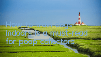 THow to train dogs indoors is a must-read for poop collectors!