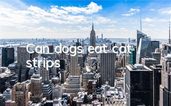 Can dogs eat cat strips?