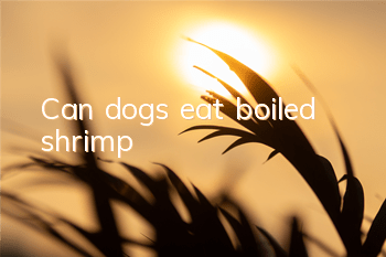 Can dogs eat boiled shrimp?