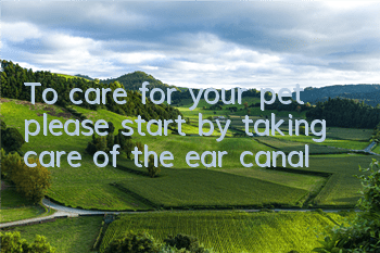 To care for your pet, please start by taking care of the ear canal!