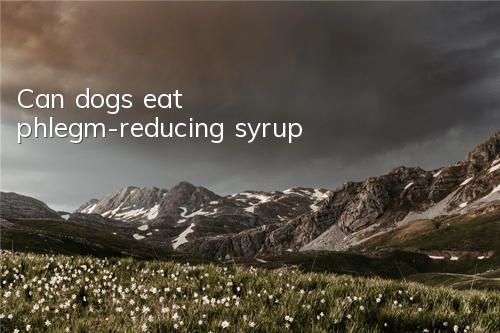 Can dogs eat phlegm-reducing syrup?