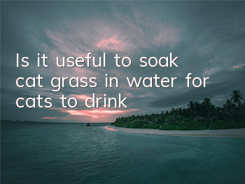 Is it useful to soak cat grass in water for cats to drink?