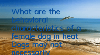 What are the behavioral characteristics of a female dog in heat? Dogs may not necessarily bleed.