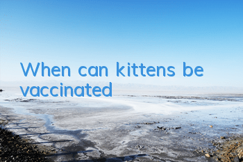 When can kittens be vaccinated?