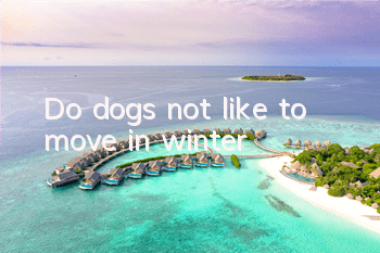 Do dogs not like to move in winter?