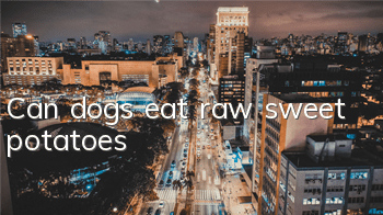 TCan dogs eat raw sweet potatoes?