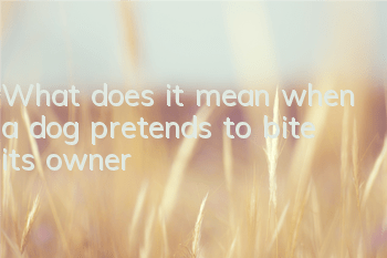 What does it mean when a dog pretends to bite its owner?