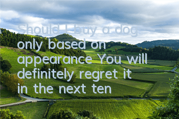 Should I buy a dog only based on appearance? You will definitely regret it in the next ten years!