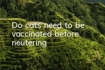Do cats need to be vaccinated before neutering?
