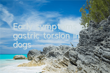 TEarly symptoms of gastric torsion in dogs