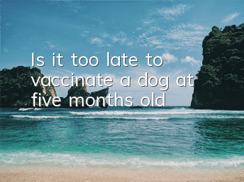 Is it too late to vaccinate a dog at five months old?