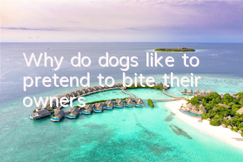 Why do dogs like to pretend to bite their owners?