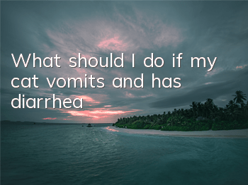 What should I do if my cat vomits and has diarrhea?