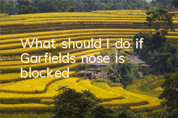 What should I do if Garfield’s nose is blocked?