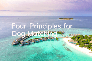 Four Principles for Dog Matching