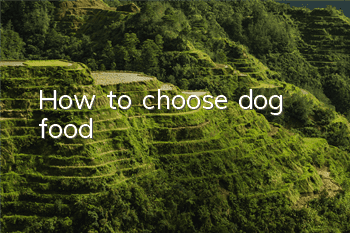 How to choose dog food?