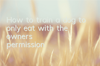 How to train a dog to only eat with the owner's permission?