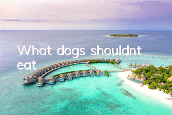 What dogs shouldn’t eat