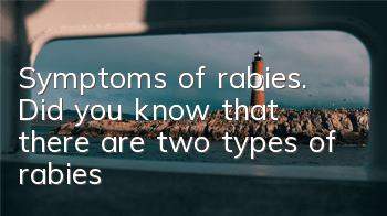 Symptoms of rabies. Did you know that there are two types of rabies?