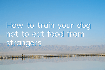 THow to train your dog not to eat food from strangers
