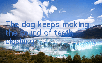 The dog keeps making the sound of teeth clashing