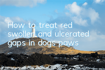 How to treat red, swollen and ulcerated gaps in dog’s paws