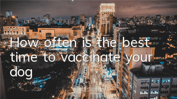 THow often is the best time to vaccinate your dog?