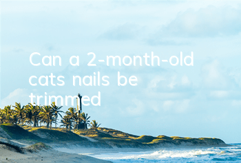 Can a 2-month-old cat’s nails be trimmed?