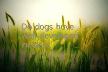 Do dogs have well-developed incisors?