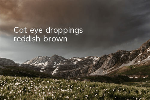 TCat eye droppings reddish brown