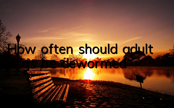 THow often should adult dogs be dewormed?
