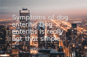 Symptoms of dog enteritis: Dog enteritis is really not that simple!