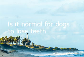 Is it normal for dogs to lose teeth?