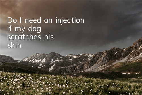 Do I need an injection if my dog ​​scratches his skin?