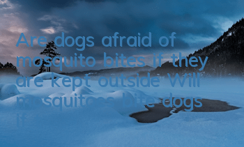 Are dogs afraid of mosquito bites if they are kept outside? Will mosquitoes bite dogs if they are kept outside in summer?