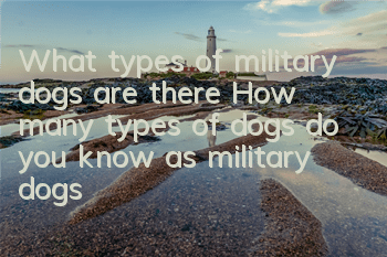 What types of military dogs are there? How many types of dogs do you know as military dogs?
