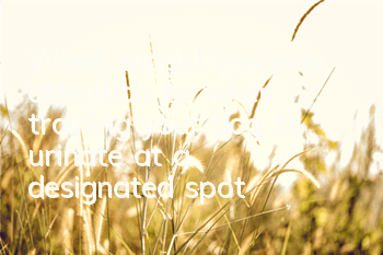 What should you pay attention to when training your dog to urinate at a designated spot?