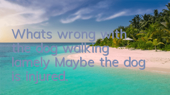 What's wrong with the dog walking lamely? Maybe the dog is injured.