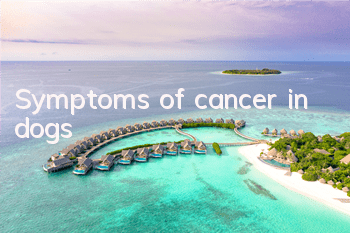 Symptoms of cancer in dogs