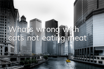 What’s wrong with cats not eating meat?