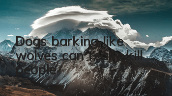 Dogs barking like wolves can really kill people