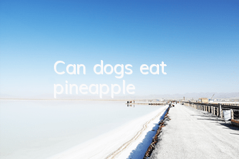 Can dogs eat pineapple?