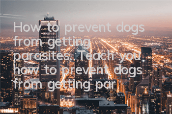 How to prevent dogs from getting parasites. Teach you how to prevent dogs from getting parasites.