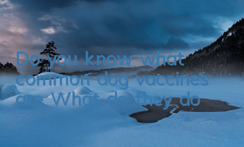 Do you know what common dog vaccines are? What do they do?