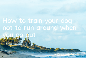 How to train your dog not to run around when you go out?