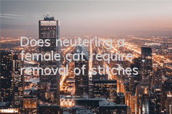 Does neutering a female cat require removal of stitches?