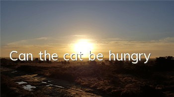 Can the cat be hungry?