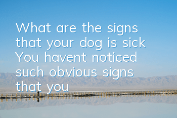What are the signs that your dog is sick? You haven’t noticed such obvious signs that your dog is sick.